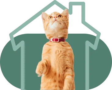 atendimento em casa