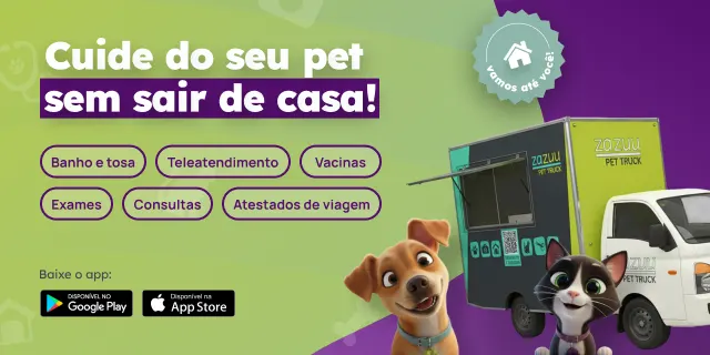 Profissional da zazuu atendendo um pet na casa do tutor
