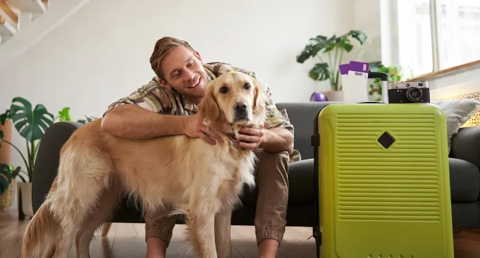 Pet pronto para viagem nacional