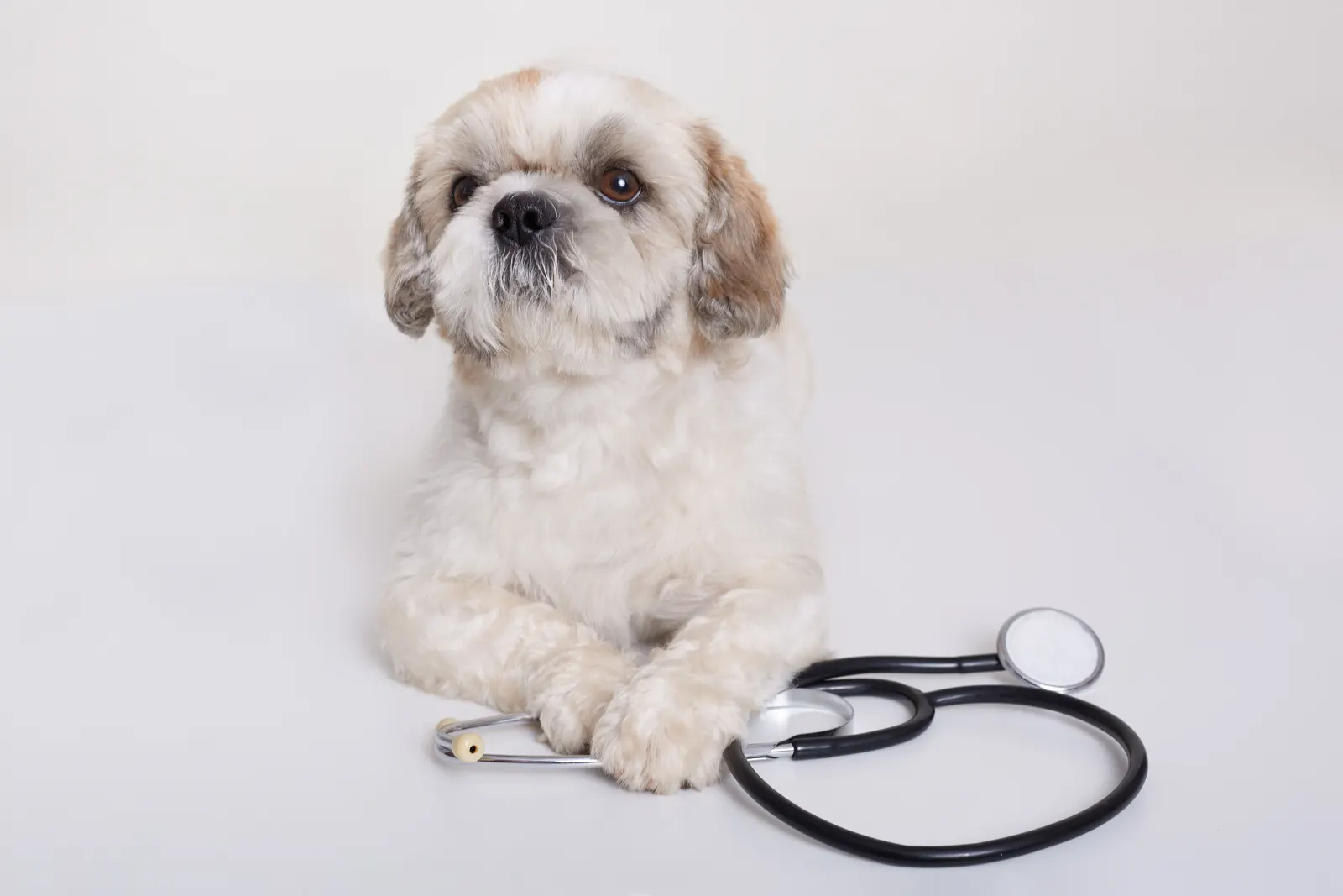 Check-Up