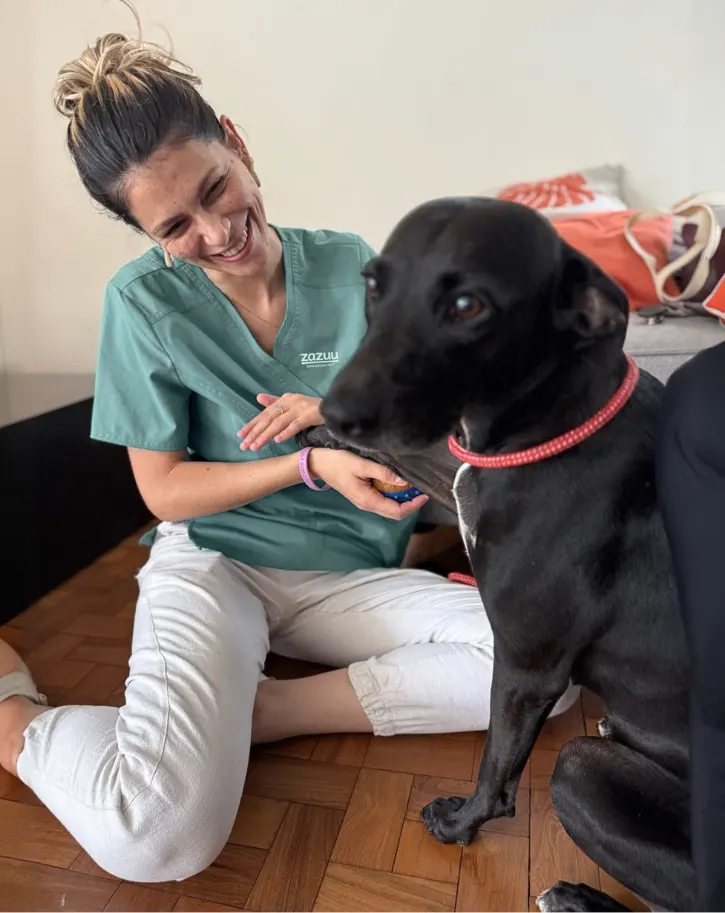 Veterinários parceiros da zazuu em atendimento