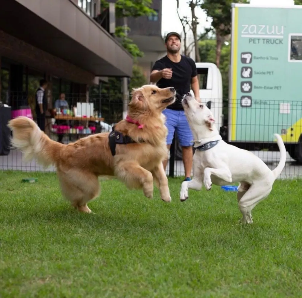 Dois cães brincando no gramado com um adestrador, com o pet truck da zazuu ao fundo