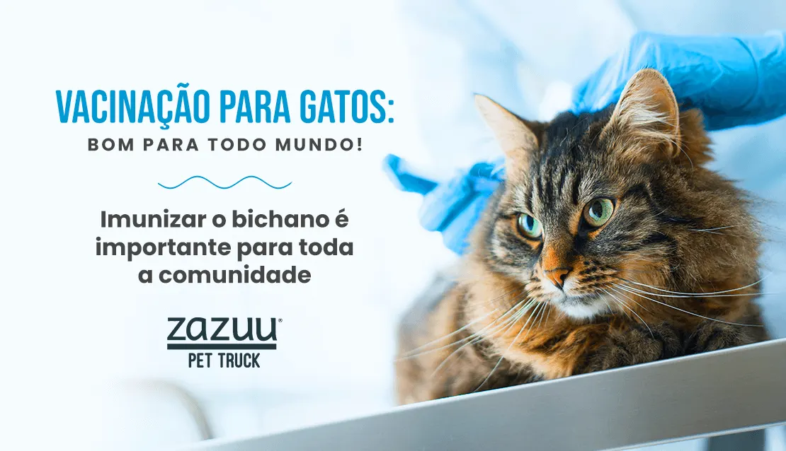 blog postagem