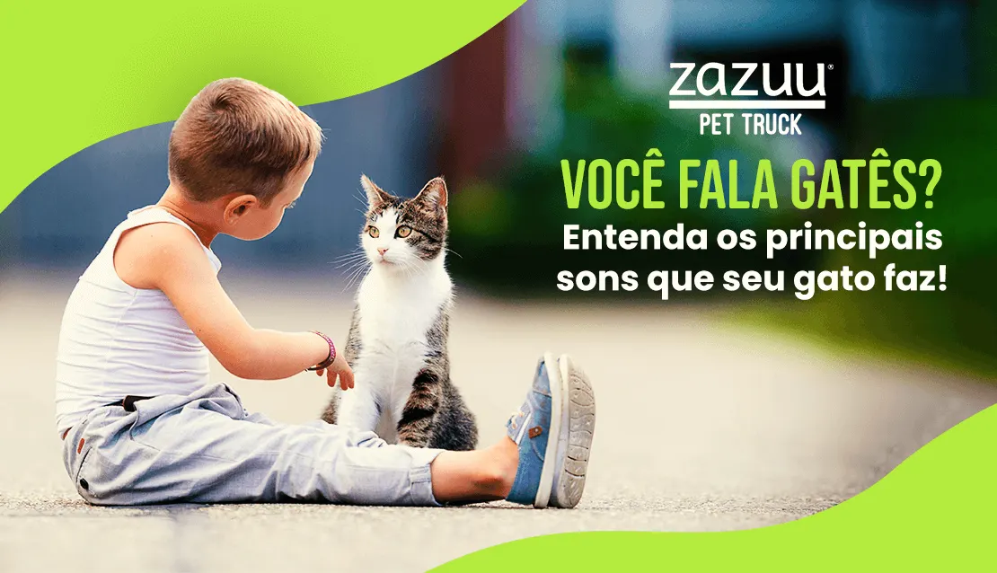 blog postagem